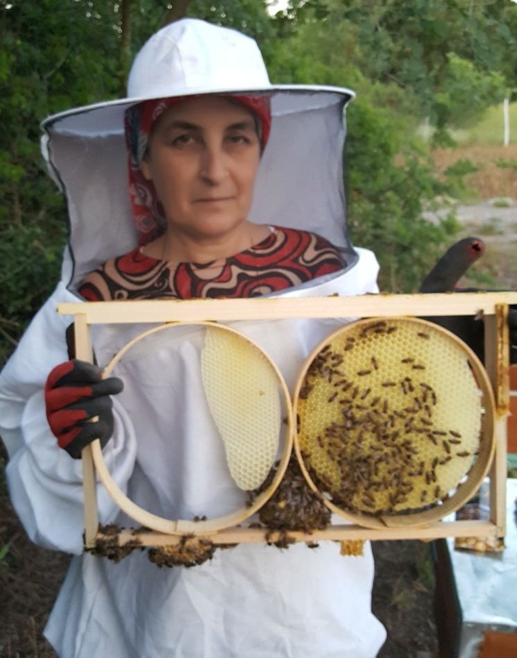 Bu yıl karakovan balları kraliçe arının emekleriyle