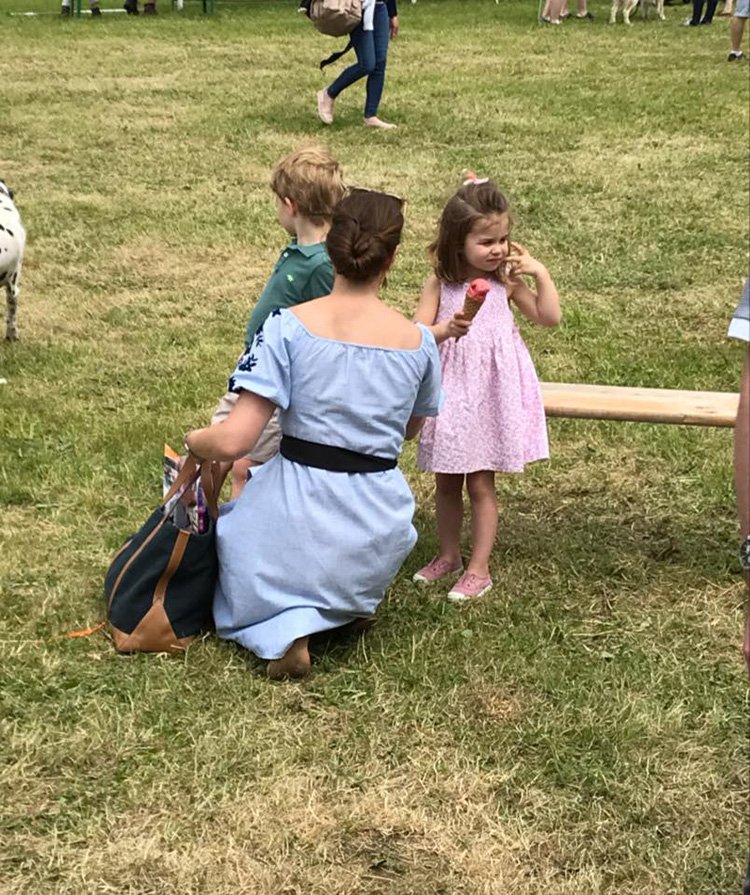 hampton canvas plum shoes