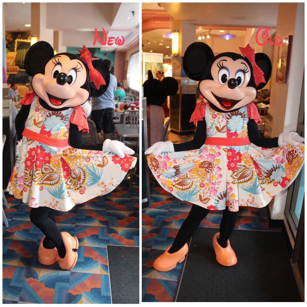 360DegreesofDis's tweet photo. Lunch on day 2 of our #CharacterDiningTour, #MinniesSpingtimeDine at #HollywoodandVine with #MinnieMouse in her new look! #DHS #DisneysHollywoodStudios #WDW #WaltDisneyWorld #MinniesSeasonalDine #ミニーマウス https://t.co/SwPMLIDjOE