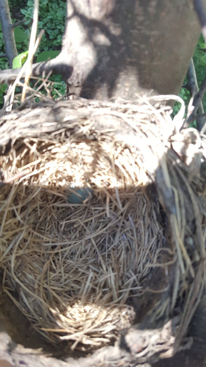 twistedcb's tweet image. Empty nest