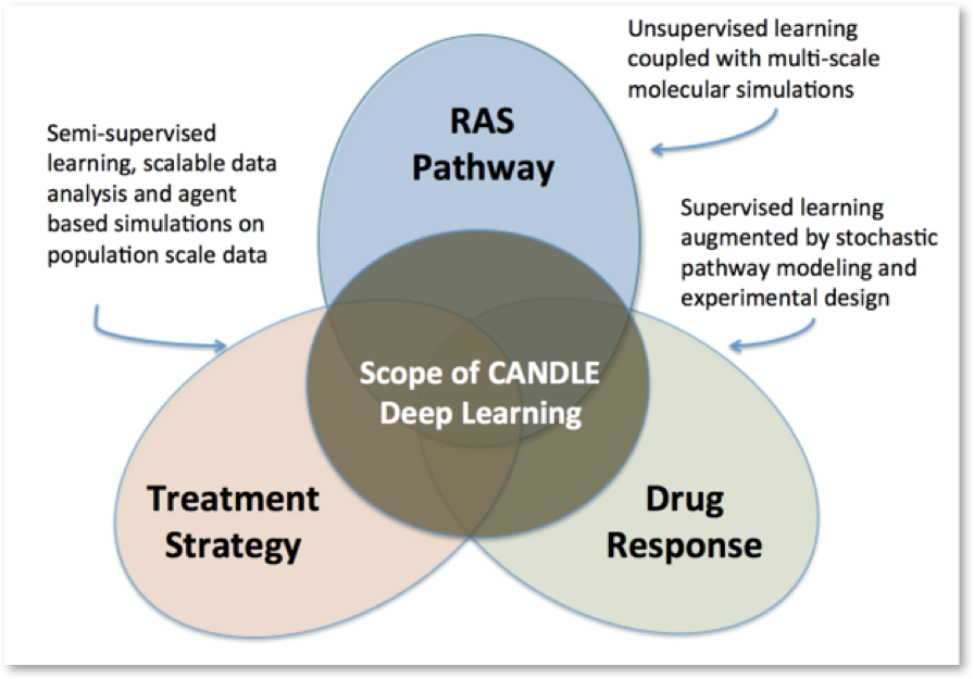Exascale #DeepLearning and Simulation Enabled Precision #Medicine for Cancer buff.ly/2F2Fgko  <a href="/DeepLearn007/">AI</a> <a href="/ipfconline1/">ipfconline</a> <a href="/argonne/">Argonne National Lab</a> via <a href="/antgrasso/">Antonio Grasso</a> #HealthTech #AI #ML #DL #Healthcare #technology #innovation #DigitalTransformation