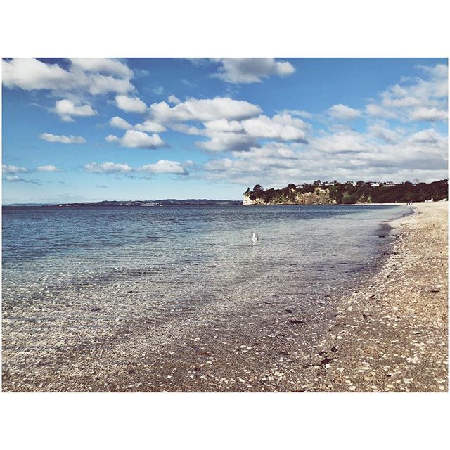 It’s good to be home 🇳🇿 #newzealand #auckland #easternbeach #beach .
.
.
.
.
#travel #travelphotography #backpacking #explore #traveltheworld #travelguide #traveldiaries #letsgoeverywhere #discoverearth #travelblog #instapassport #travelgram #instatr… ift.tt/2JaEkQd