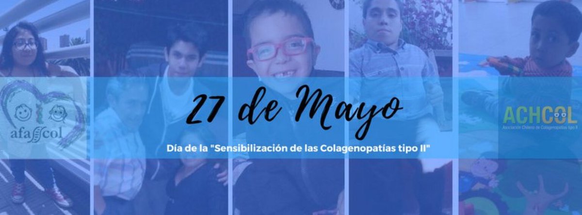 NoInvisibles's tweet photo. Hoy concienciación #ColagenopatíasTipoII
Conocer más y mejor #COL2A1
Diversas condiciones debidas a esta mutación
#Stickler #SEDC #Strudwick #Kniest
#Perthes #Stanescu
Conocer, visibilizar e investigar
Es el camino y la esperanza
Gr. @AFASCOL @COL2A1Chile
Cc @InfoAliber https://t.co/HXSLSgLy8T