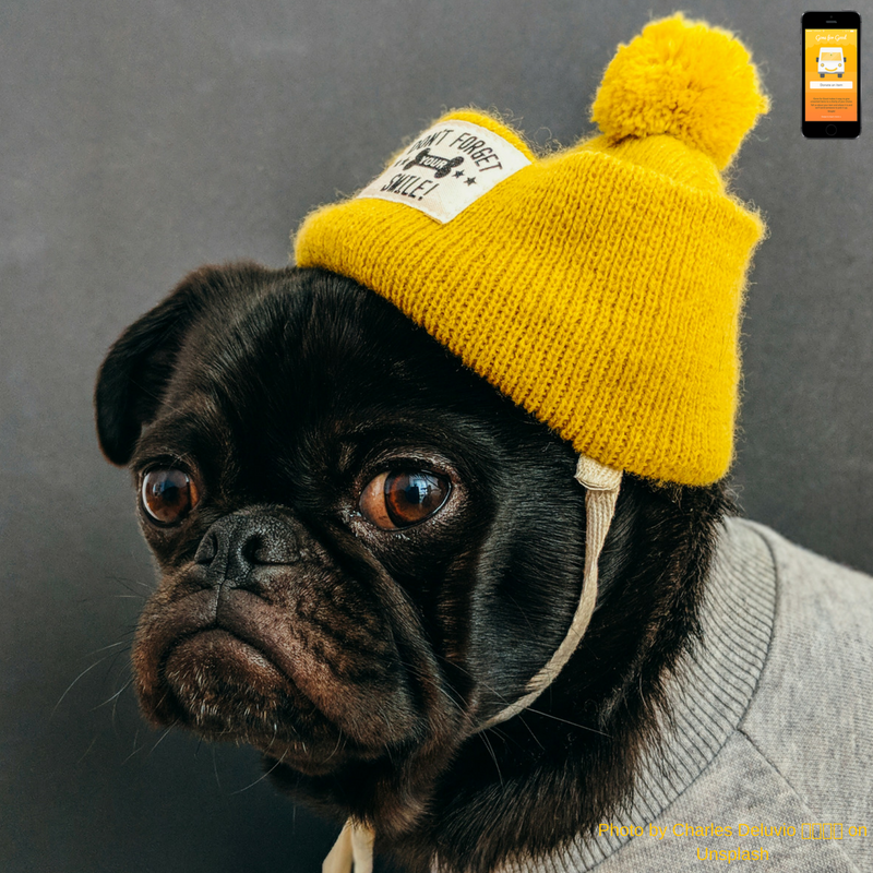 GoneForGoodApp's tweet image. Are you really going to wear that? If the answer is no, then donate it to #charity w/ the bit.ly/GoneforGood app &amp;amp; free up some space in your wardrobe. #reuse #Funickers