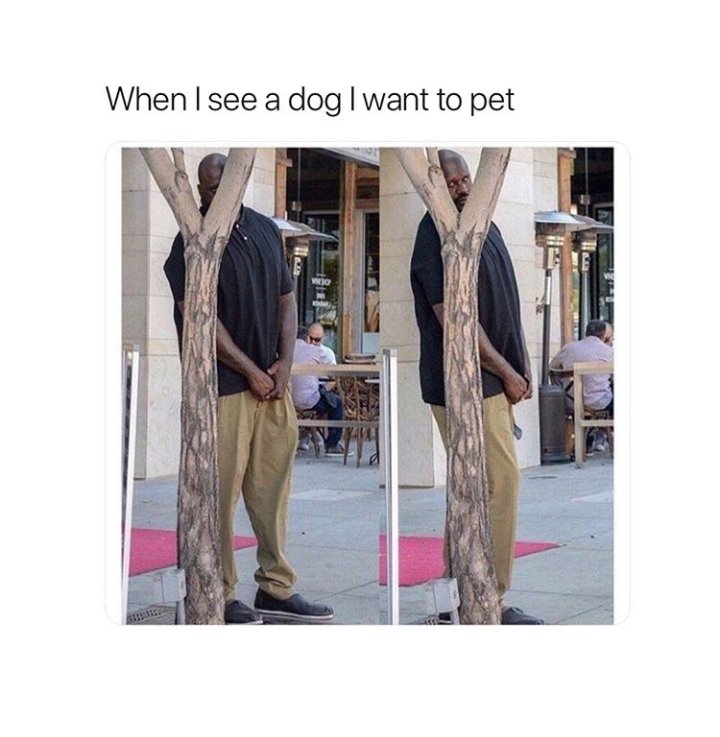 ismokememez's tweet photo. 🐶🤷‍♂️
°
°
°
°
#Follow @ismokememez (me) for more 
°
°
°
°
[Ignore 💀]
#memes #meme #dailymemes #funny #comedy #depressed #ismokememez #memeaccount #international #edgymemes #dankmemes #bruh #FunniestTweets #weed #high #mood https://t.co/eng4VyViNk