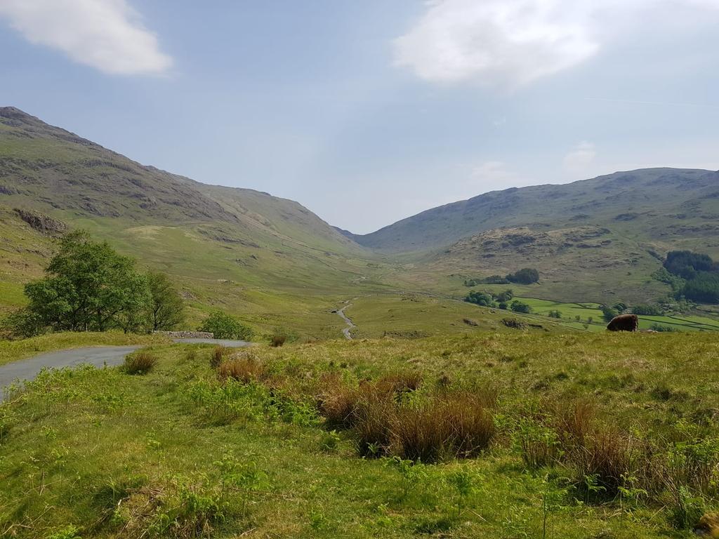 Typical road today...who new the #scirocco could off-road!