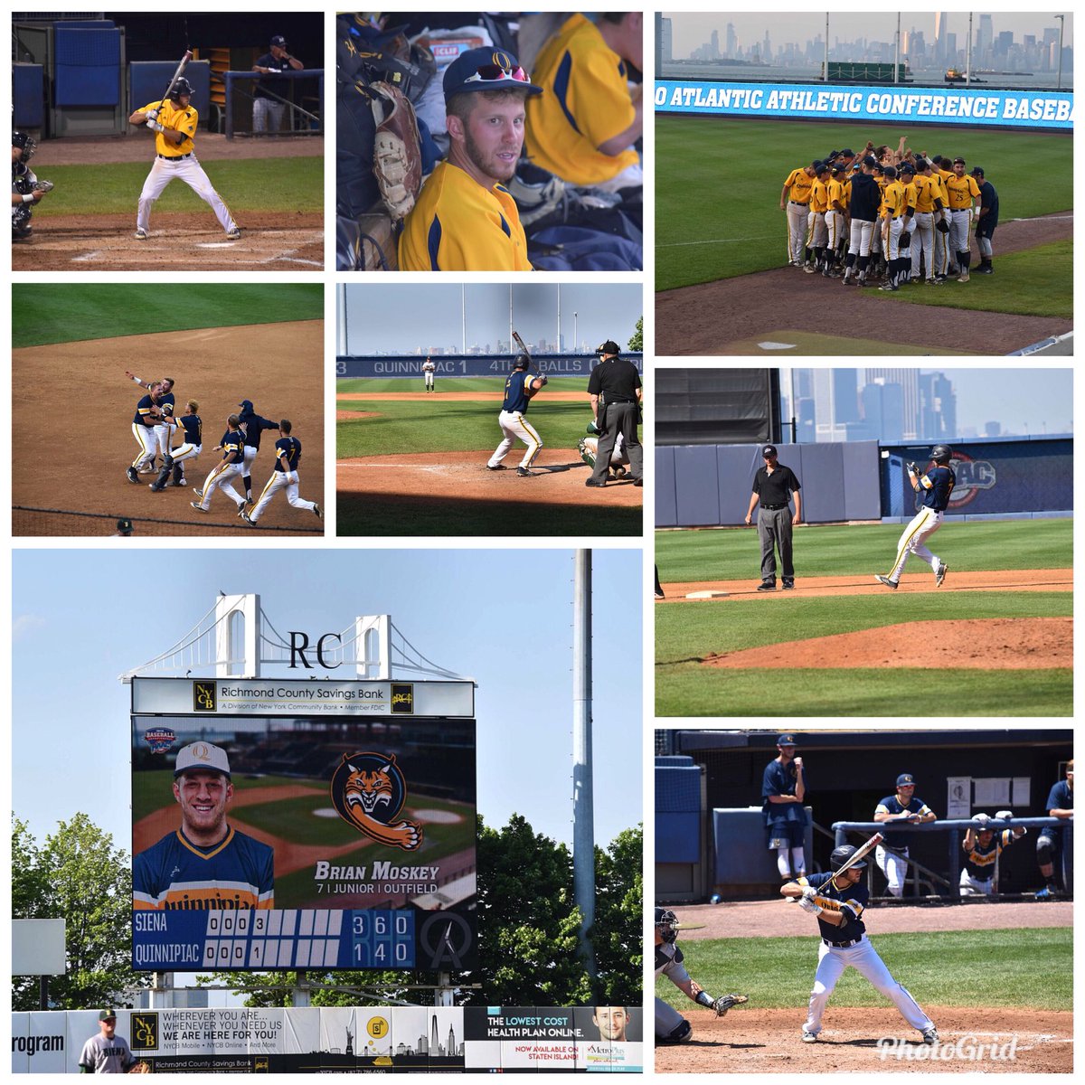 moskey5's tweet photo. MAAC Tournament ~ Quinnipiac  Bobcats #BMosk 💙⚾️💛 https://t.co/HGvId2SUPA