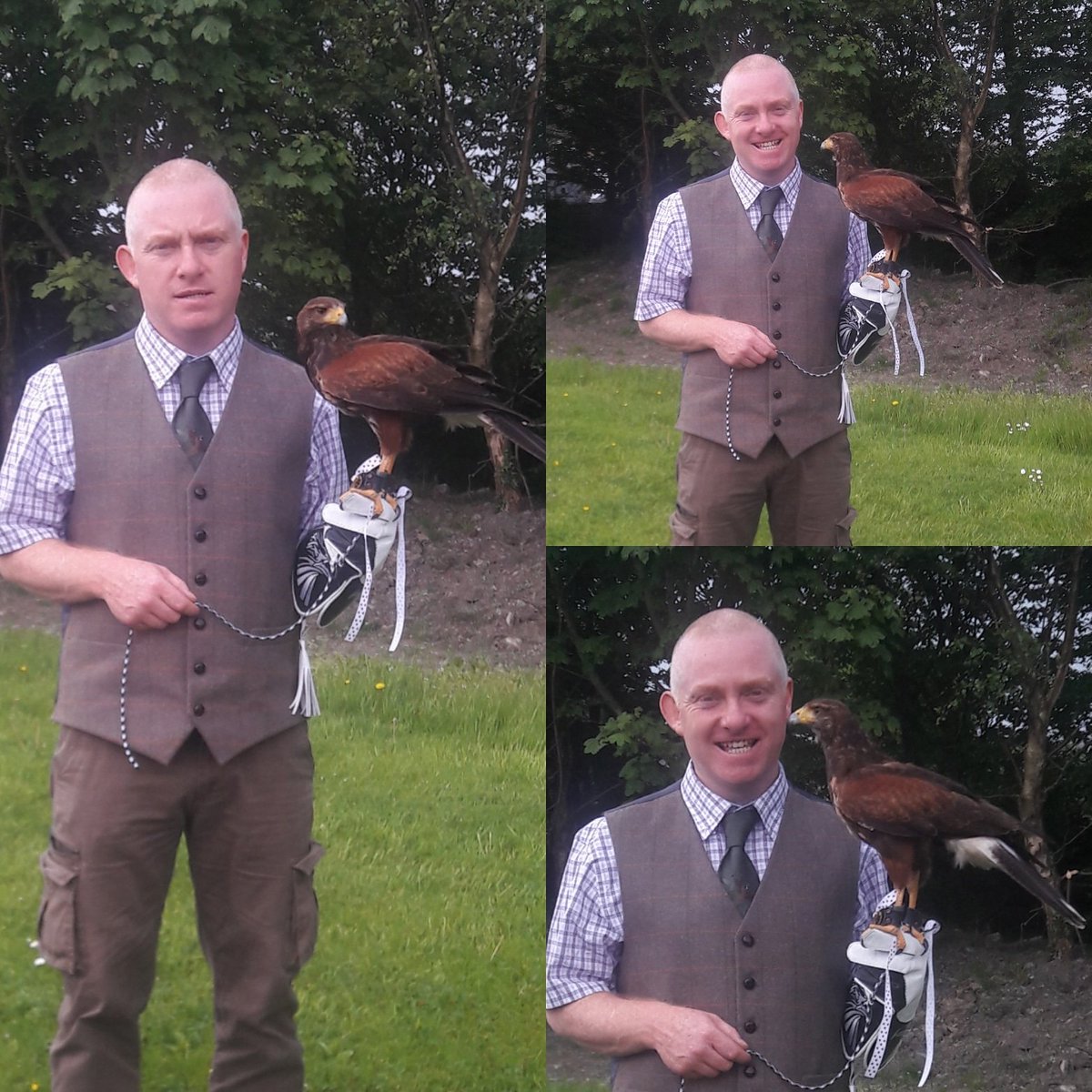 ecfalconry's tweet photo. Another ring delivery today at the Four Seasons Hotel Carlingford #eastcoastfalconry #weddings #ringbearer #fourseasonshotel https://t.co/YCXYpHLbbV