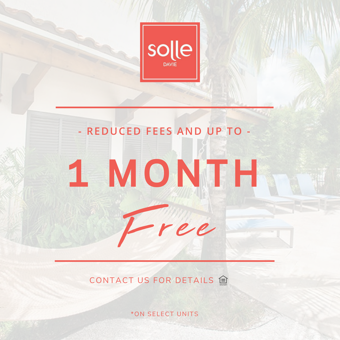 SolleDavie's tweet photo. Luxury living is in within reach. Contact our leasing team for details on our current special! ➡️ https://t.co/216SGIben7 https://t.co/Y1NYK9z4vg