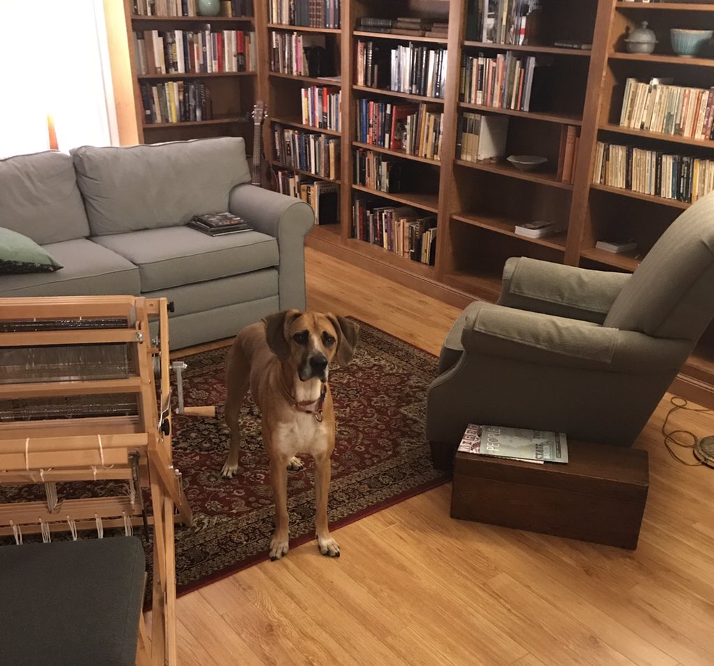 Ben Jones tweet media