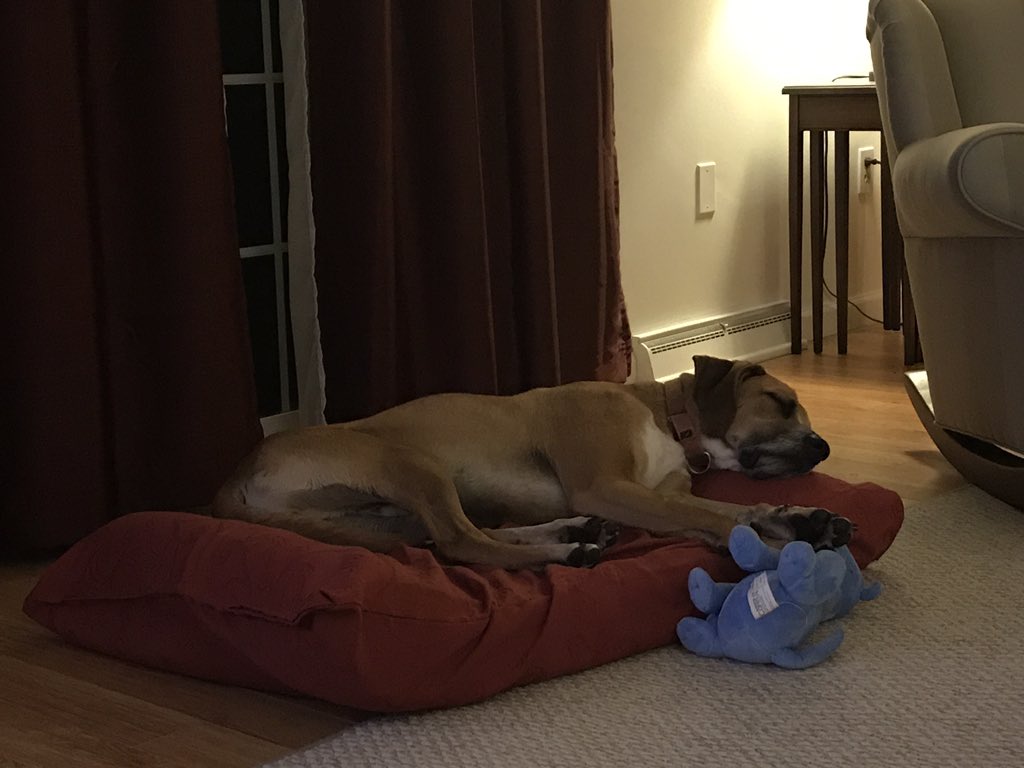 Ben Jones tweet media