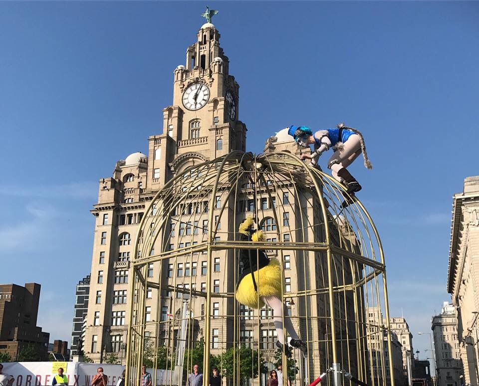 katyannebellis's tweet image. We've had a ball this weekend @tallshipsregatta performing the world premiere of Two Cats and a Canary. Come and see us in action this bank holiday Monday 11:30am, 1:30pm &amp;amp; 4pm @ pier head. @CultureLPool @katyannebellis #circus #bordeauxwinefestival #femalecomedy #cartoon