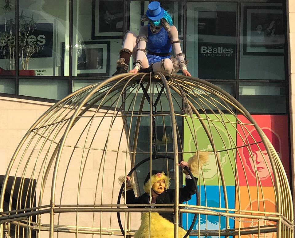 katyannebellis's tweet image. We've had a ball this weekend @tallshipsregatta performing the world premiere of Two Cats and a Canary. Come and see us in action this bank holiday Monday 11:30am, 1:30pm &amp;amp; 4pm @ pier head. @CultureLPool @katyannebellis #circus #bordeauxwinefestival #femalecomedy #cartoon