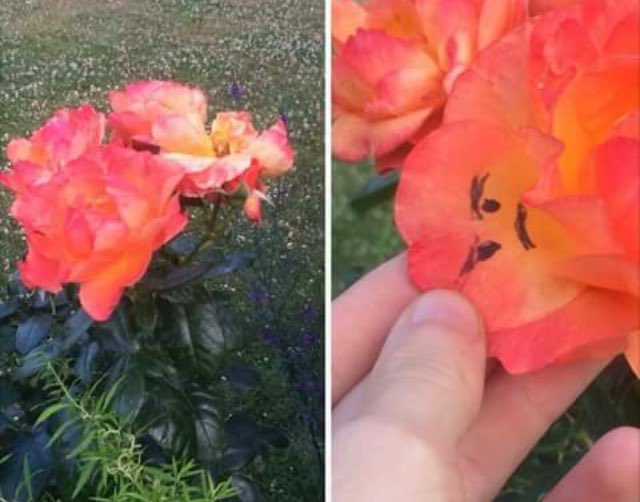 PicturesFoIder's tweet image. 