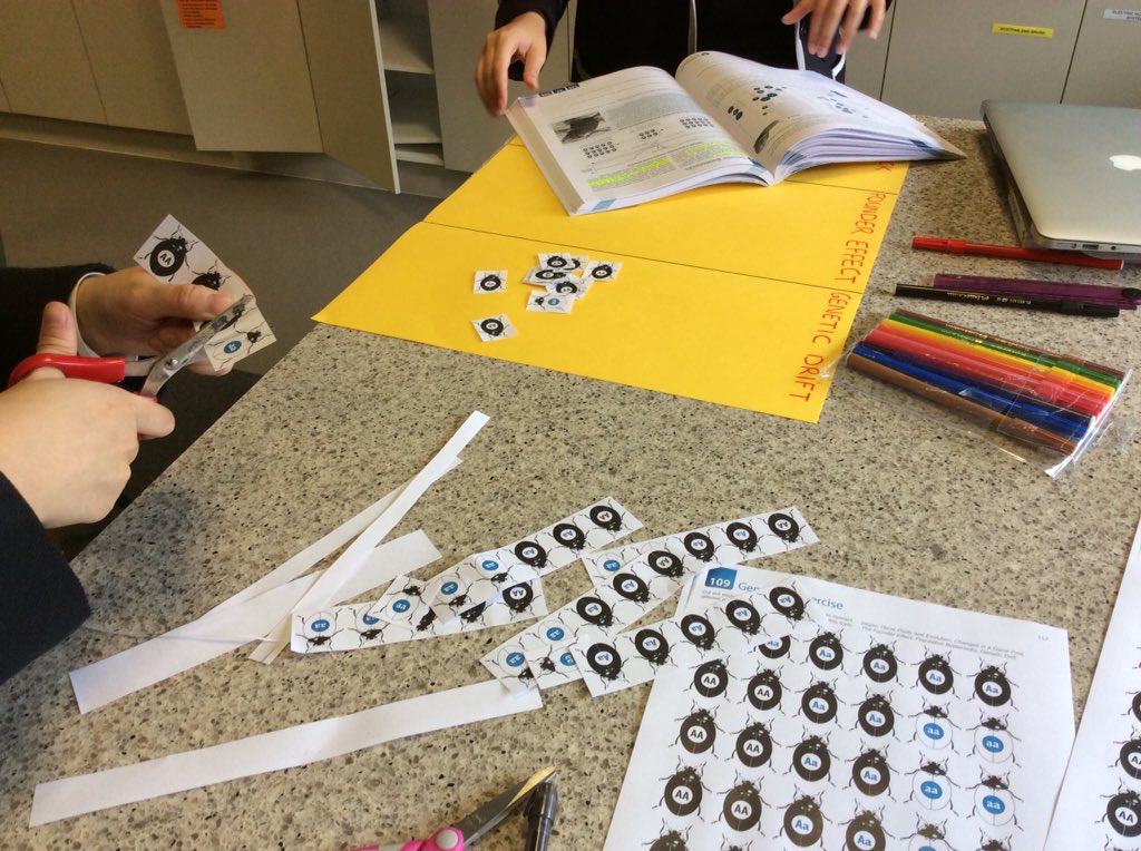 BeckRSaunders's tweet photo. Processes that impact #allelefrequencies #bottleneckeffect #foundereffect #geneticdrift #compareandcontrast ...I try to create activities that facilitate conversation between students to help them construct understanding #unit4 #biology #evolution https://t.co/5h1KHGqsRo