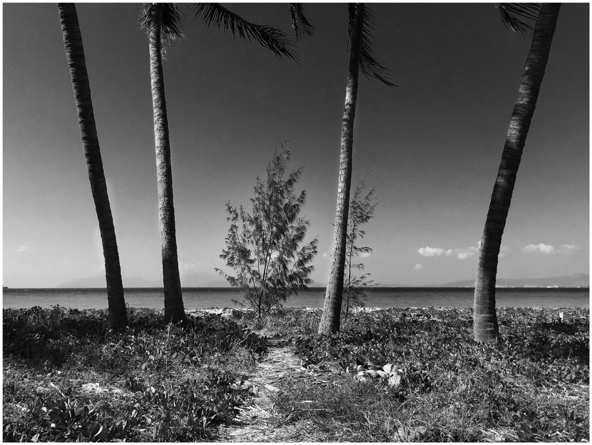 Final Days for the Autumn landscape &amp; seascape print discount!
edm.essendoncreative.com.au/t/j-9470F10DD6…