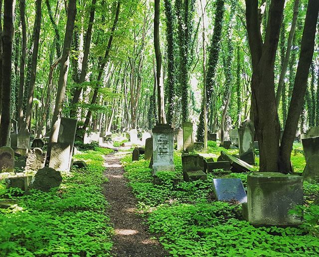 abaranski's tweet photo. Forgotten places https://t.co/IZMwK8VJ0h https://t.co/hbS7nq90ZB