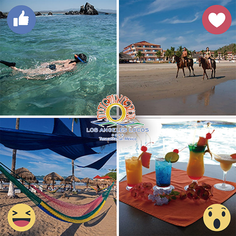 LosAngelesLocos's tweet photo. ¿Qué es lo primero que harás al llegar a #LAL? 🏊‍♀️🌴🌊☀️ https://t.co/wHkfTQ7mSm