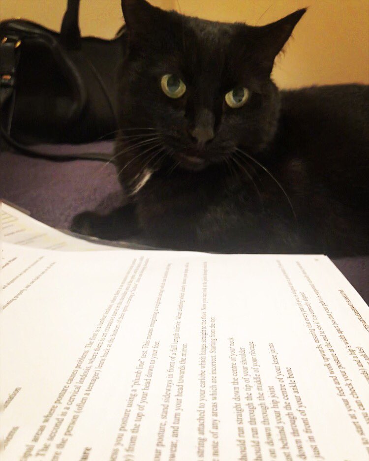 RhianJones's tweet photo. Revision support 🙏🏼 https://t.co/E111i7hIr5