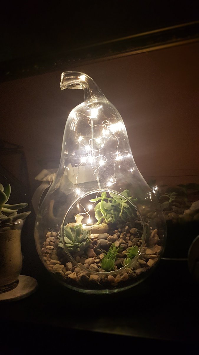SmallByDesign1's tweet photo. Have enjoyed doing this one.... hard to get a decent pic with the lighting! Took forever to get the lights where I wanted them! Thanks to @JVVCCGroup @FloristSundries as always. #succulents #northamptonuk #smallbydesign #bedifferent #handmade https://t.co/beJyXqfG7Z