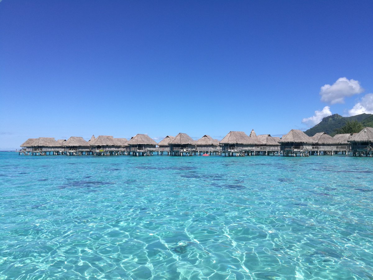 Samoa Events tweet media