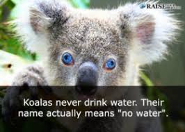 BreakoutGives's tweet photo. We learn something new every day!
#volunteer #donate #change #dogood #charity
#fundraising #philanthropy #SocialGood #activism #causes #activism #nonprofit #GiveMoreTogether https://t.co/BqEOohyOKH