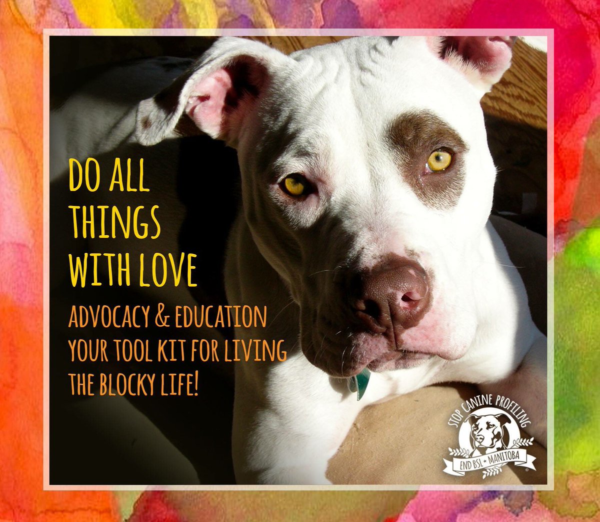 jane_endbsl's tweet photo. Advocacy & Education will end breed-specific legislation (BSL) #endbsl #endbslmanitoba #endbslwinnipeg #killbill128 #endbslontario @Mayor_Bowman https://t.co/UGHzTo7Tl0