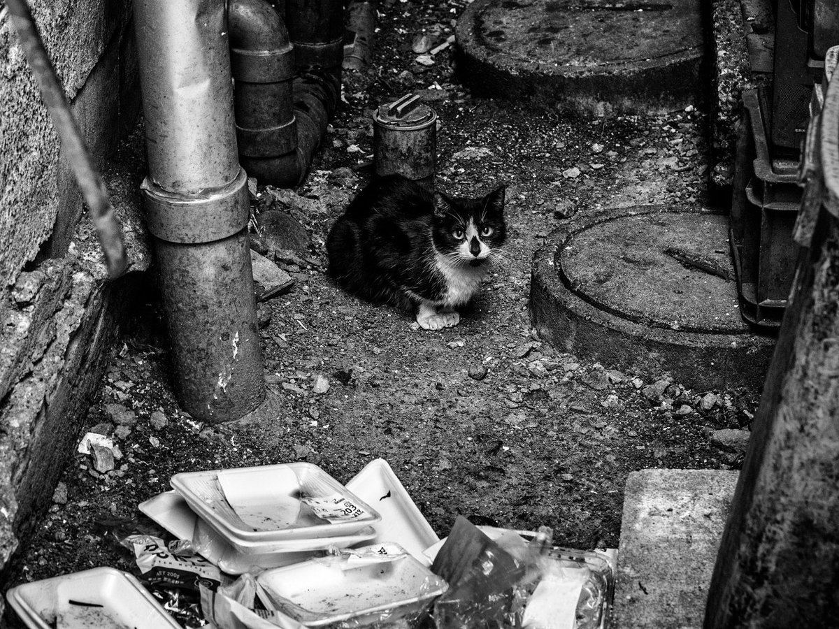 aryyk_jp's tweet photo. SAPPORO, HOKKAIDO
#photography
#monochrome https://t.co/8fJT4q48Sm