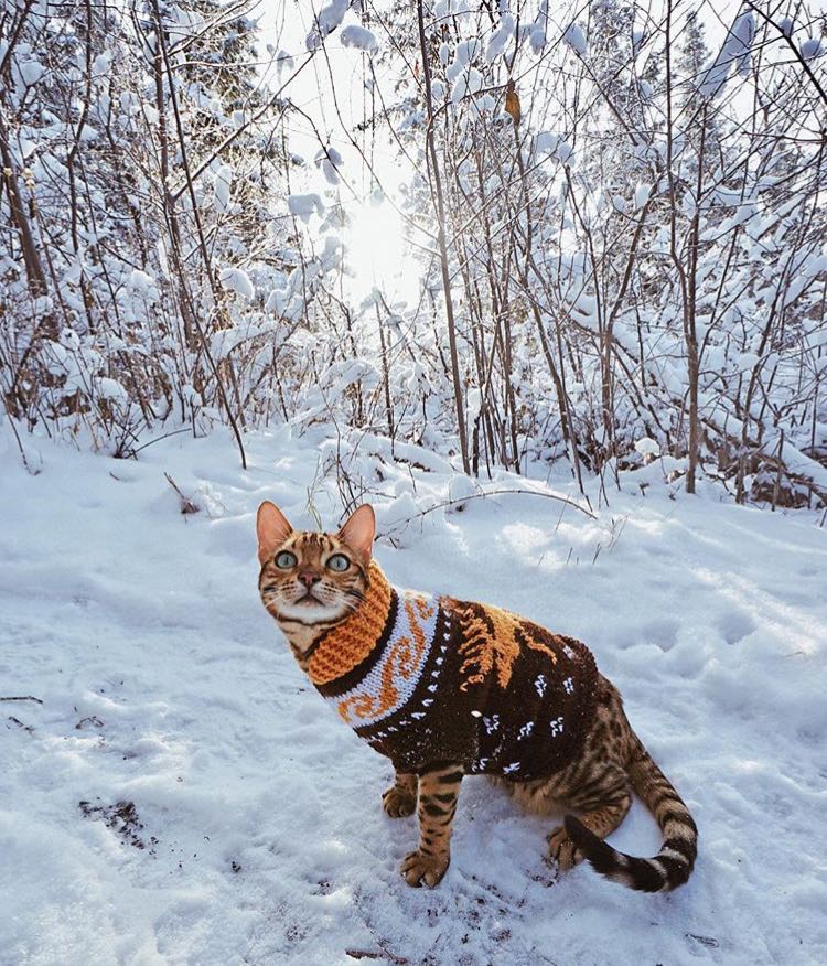 How I like of the  nature !! My eyes don't  tire of appreciating.😍😍