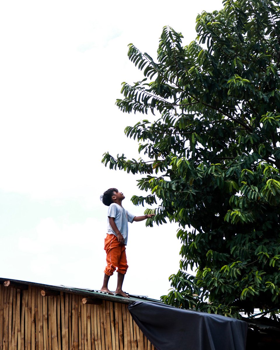 AIMissions's tweet photo. “Just a boy and his mango tree.”
// gram via @kysmind
___
#wrgapyear https://t.co/OQscdXsujX