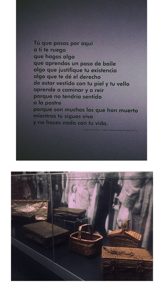 PatriGar4's tweet photo. Una mirada hacia el pasado, con los ojos del presente, para aprender a mejorar nuestro futuro con @auschwitzxhibit en @arte_canal https://t.co/6GoJyNSHYZ