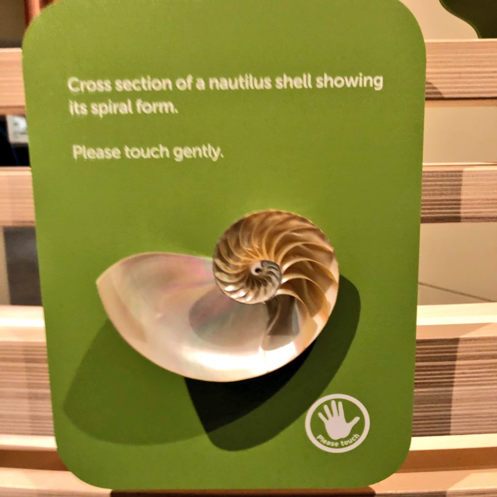 EvanKirstel's tweet image. Nature inspired #design &amp;amp; #engineeing