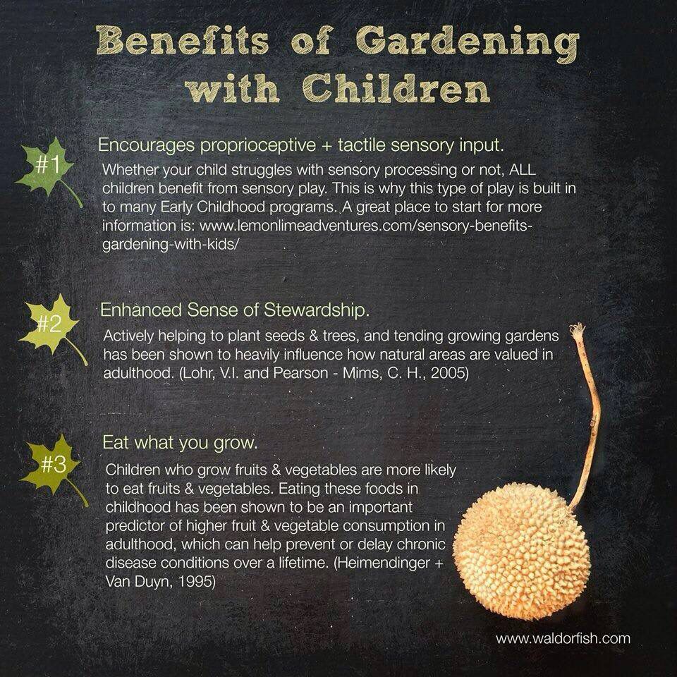 SarahBucko_'s tweet photo. Nutrition is extremely important for all children's health, this image shows the benefits of children helping in the garden #sustainability #UONTeach https://t.co/aWsVTb0qtM