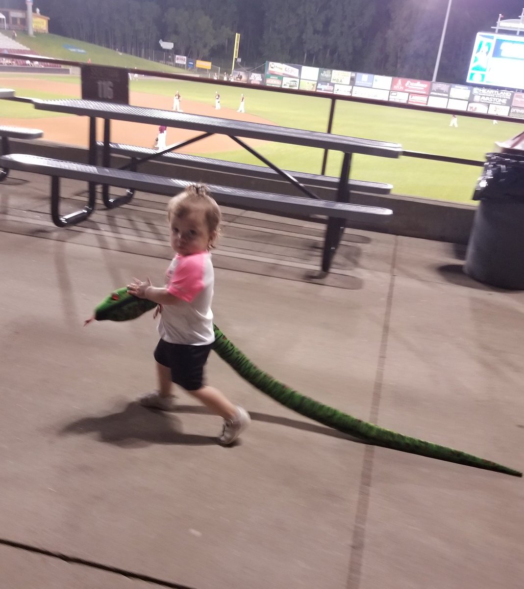 MelBreitenbach's tweet photo. #cougars littlest fan is dragging the #rallysnake on the opposing team concourse! Go @CUCbaseball
#winnerswin #letsgocougars https://t.co/YwtRRLcJxF