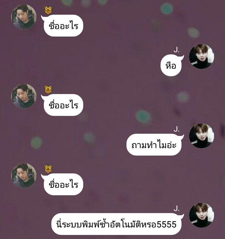 Bewwwwwadee's tweet photo. RT please 🌼

Fiction : #พี่เสือทาสแมว

kuanlin x jihoon  
#หลินฮุน #คลังฟิคหลินฮุน 

"เสือ (น.) = เป็นสัตว์ดุร้ายที่รักสงบ 
แ���่กลับแพ้อะไรก็ตามที่มีลักษณะเหมือนแมว"

Link : https://t.co/OuaWKmsHMP

Thank you 💘💘🐯 https://t.co/sX83wsiV2p