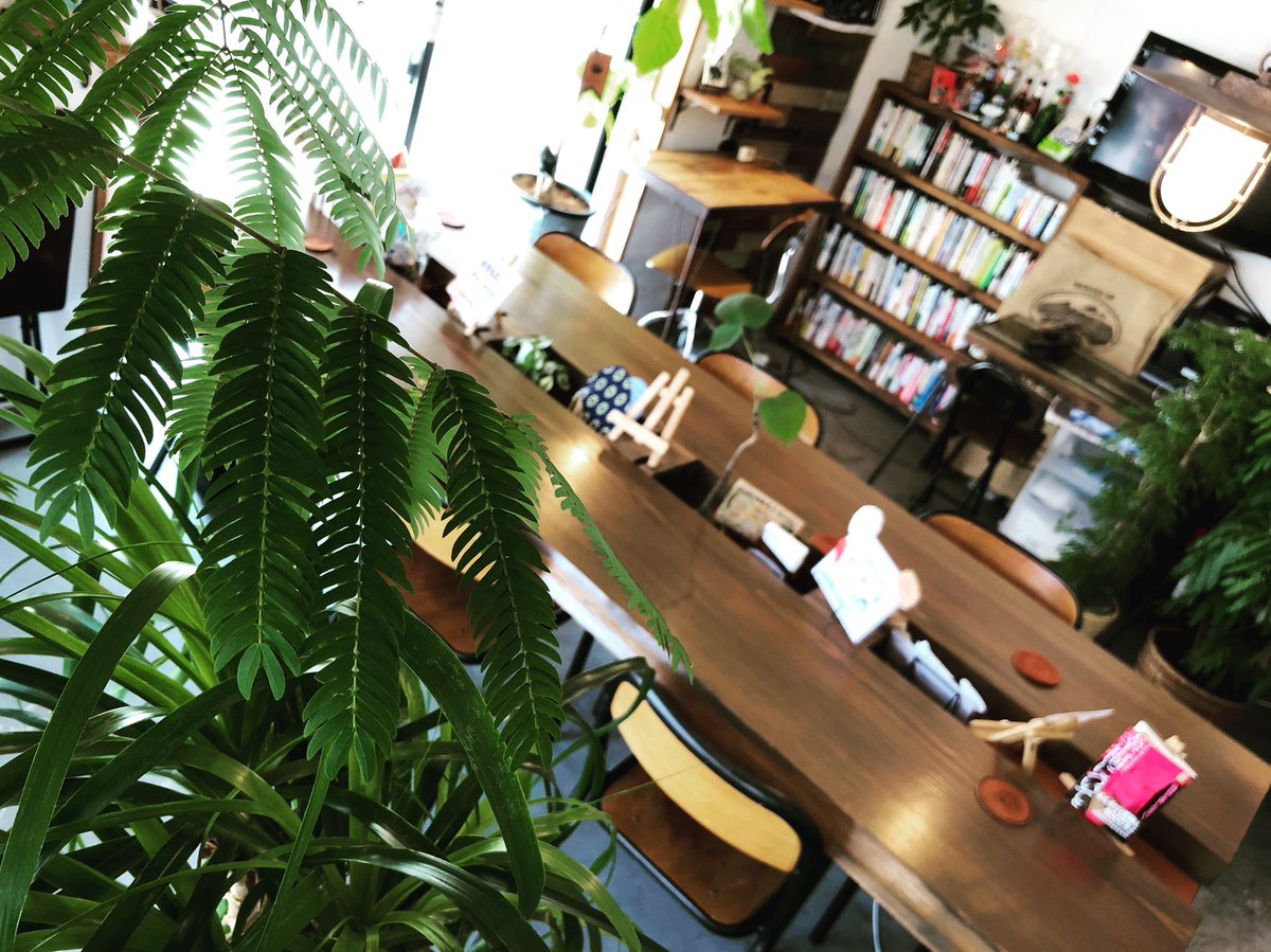 cafeforesta2's tweet photo. おはよーございます！

日に日に、暑さが増していきますが
それだけ外のイベントが楽しくなっていきますね(๑˃̵ᴗ˂̵)
体調管理に気をつけながら
今週もよろしくお願いします！

#大阪 #モーニング #珈琲 #カフェ #難波 #日本橋 #読書カフェ

浪速区日本橋4-5-24
☎︎080-9608-2032 https://t.co/voEeTGIW43