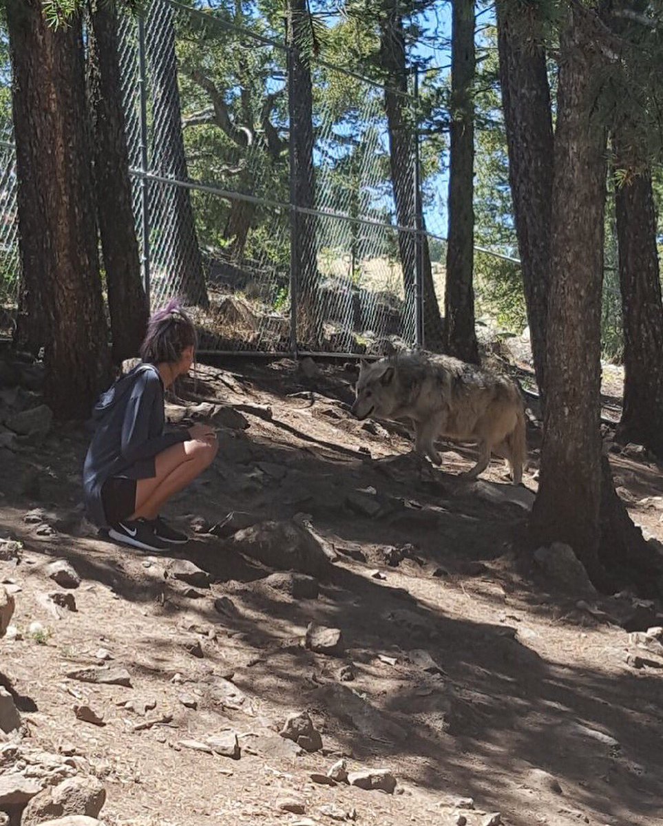 britleah_'s tweet photo. as seen on insta https://t.co/A8e1zvzCke