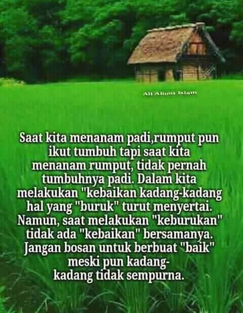 10Undul tweet picture