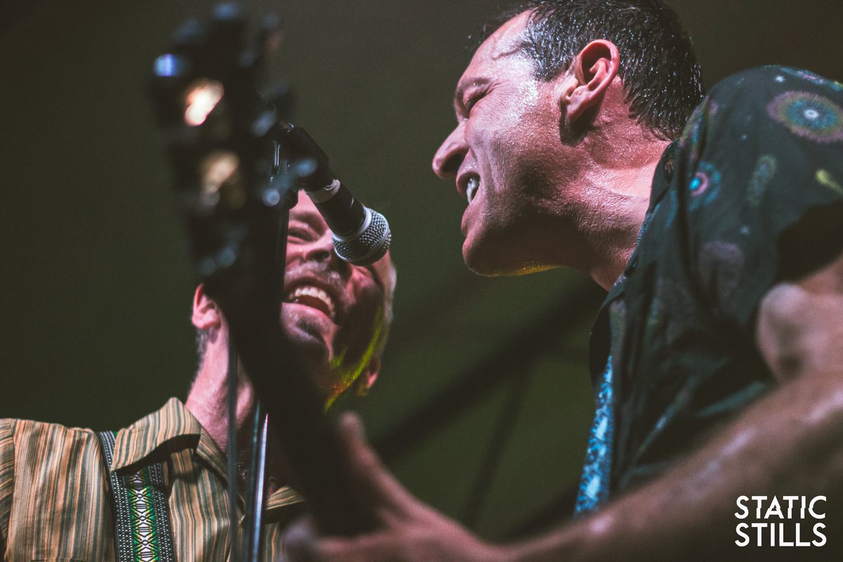 Static Stills tweet media