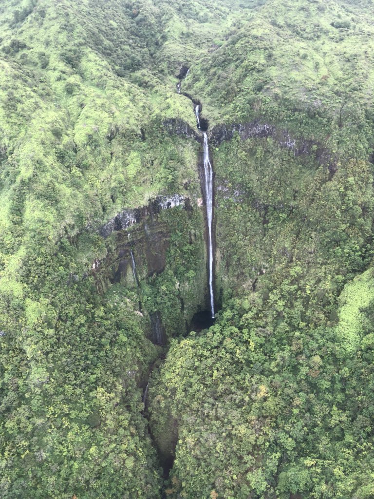 RyteDesign's tweet image. #longhisbirthdaydinner #tommybahamas #tylersbirthday #friendsandlovers