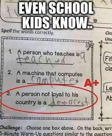 A Person Who Is Not Loyal To His Country