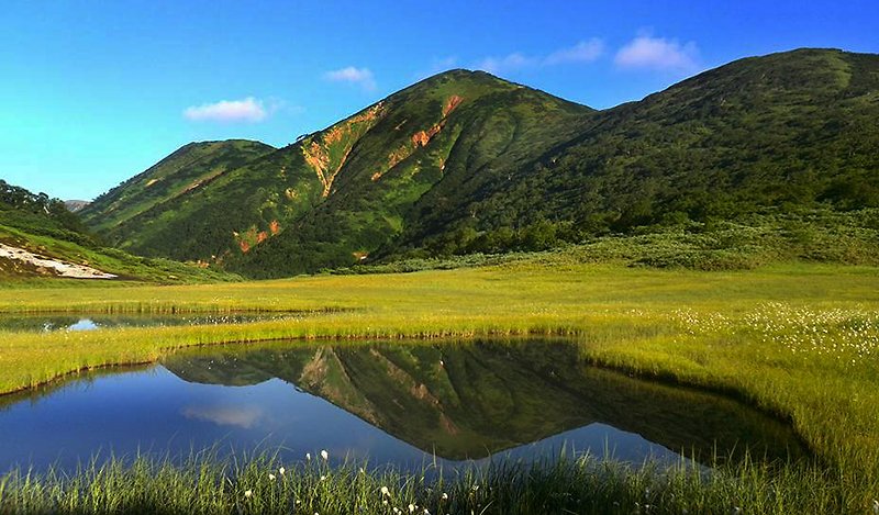 AkakuraMyoko's tweet photo. The green season is here! https://t.co/iv2welPidp
