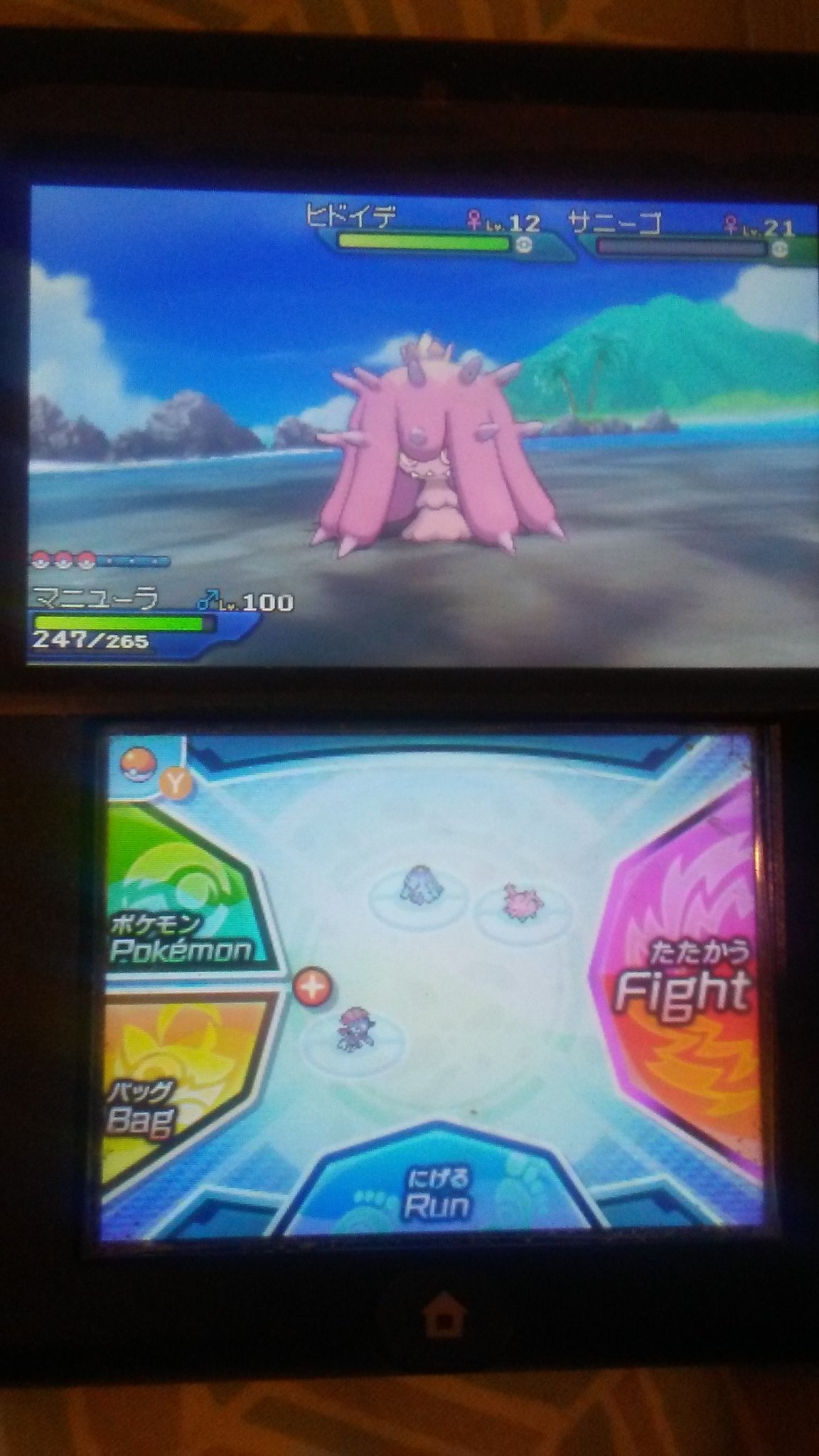 Twitter এ リナ やっと 色違いのヒドイデが出て来た 色違いのヒドイデが出る可能性は五分五分だから ちょっと大変だった ポケモンウルトラサンムーン 色違いポケモン T Co O95cygy0gr ট ইট র