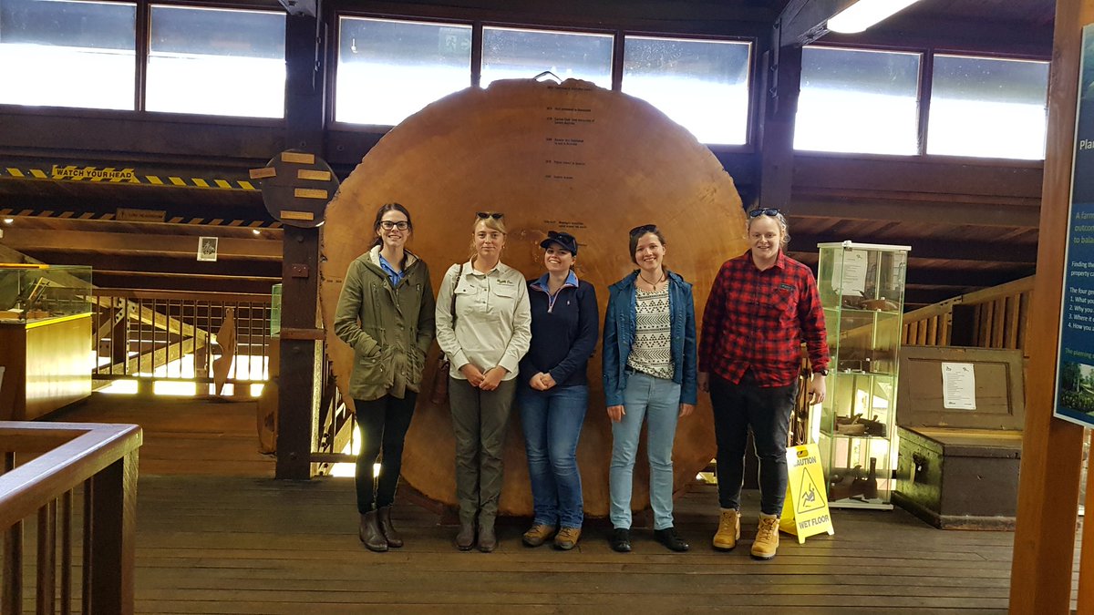 kaateelysee's tweet image. Kicking off our @QldFarmers Reef Extension Graduate program #swagtour ar the Gympie Wood Works Museum! 👩‍🌾🌳#forestry #reefextension #agextension
