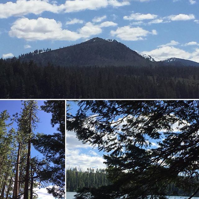 KittOMalley's tweet photo. Shuttle Lake Cascades Oregon. Went kayaking. Enjoying nature. #SuttleLake #lake #forest #Cascades #oregon #nature https://t.co/nPoQb4vyOP https://t.co/bdrK4lJEKQ