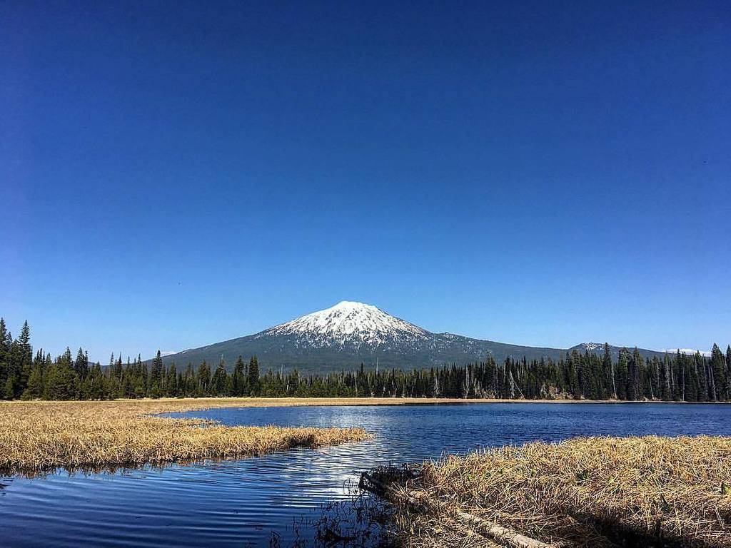 0nlyHellYes's tweet photo. #mtbachelor from #hosmerlake.
#onlyhellyes #latergram #outforaride #deschutesnationalforest #openroad #blueskies #talltrees #mountains #snowcapped #motorcycle #motorbike #instamotogallery #whyweride #summertime #havefun #lifeisshort #livenow #freedom #bikersofinstagram #sp… https://t.co/Mj3CMATk0m