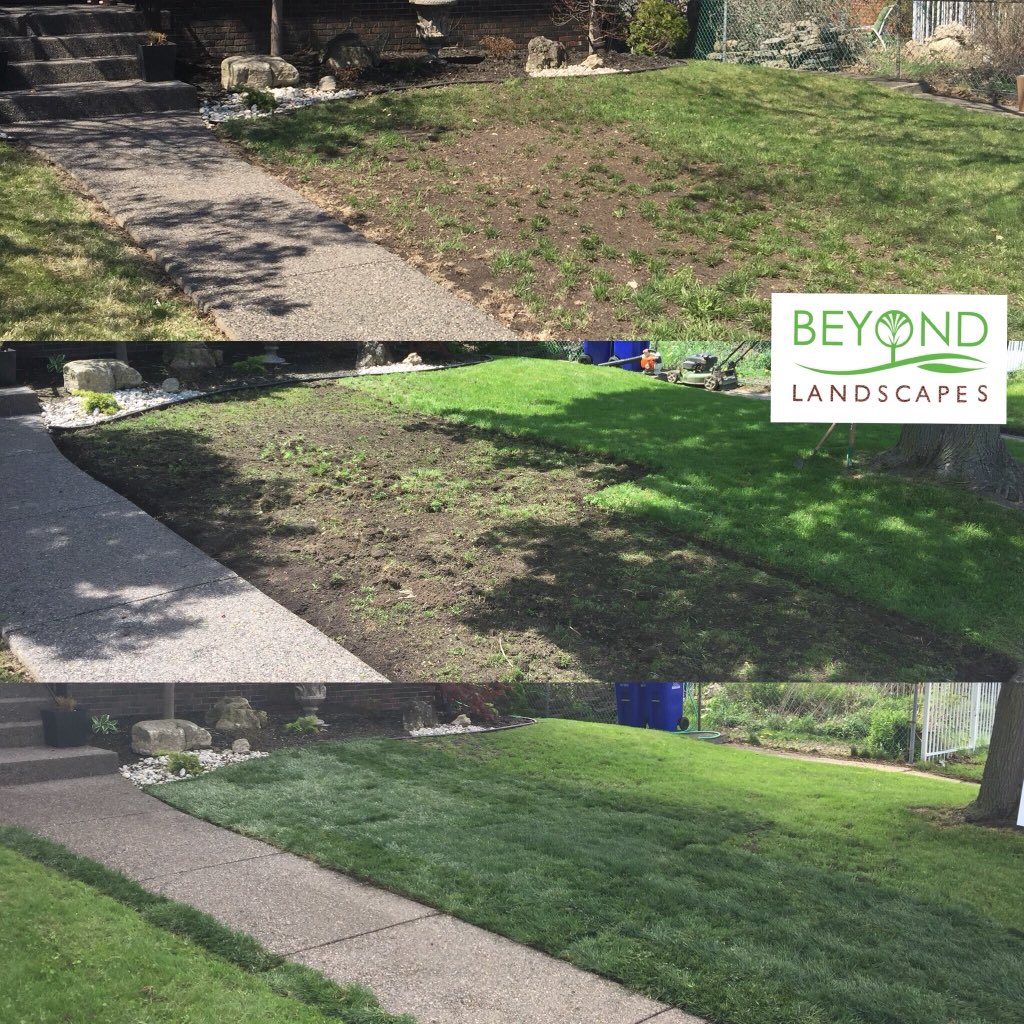 BeyondLandscapz's tweet photo. https://t.co/Lta1ctTreW