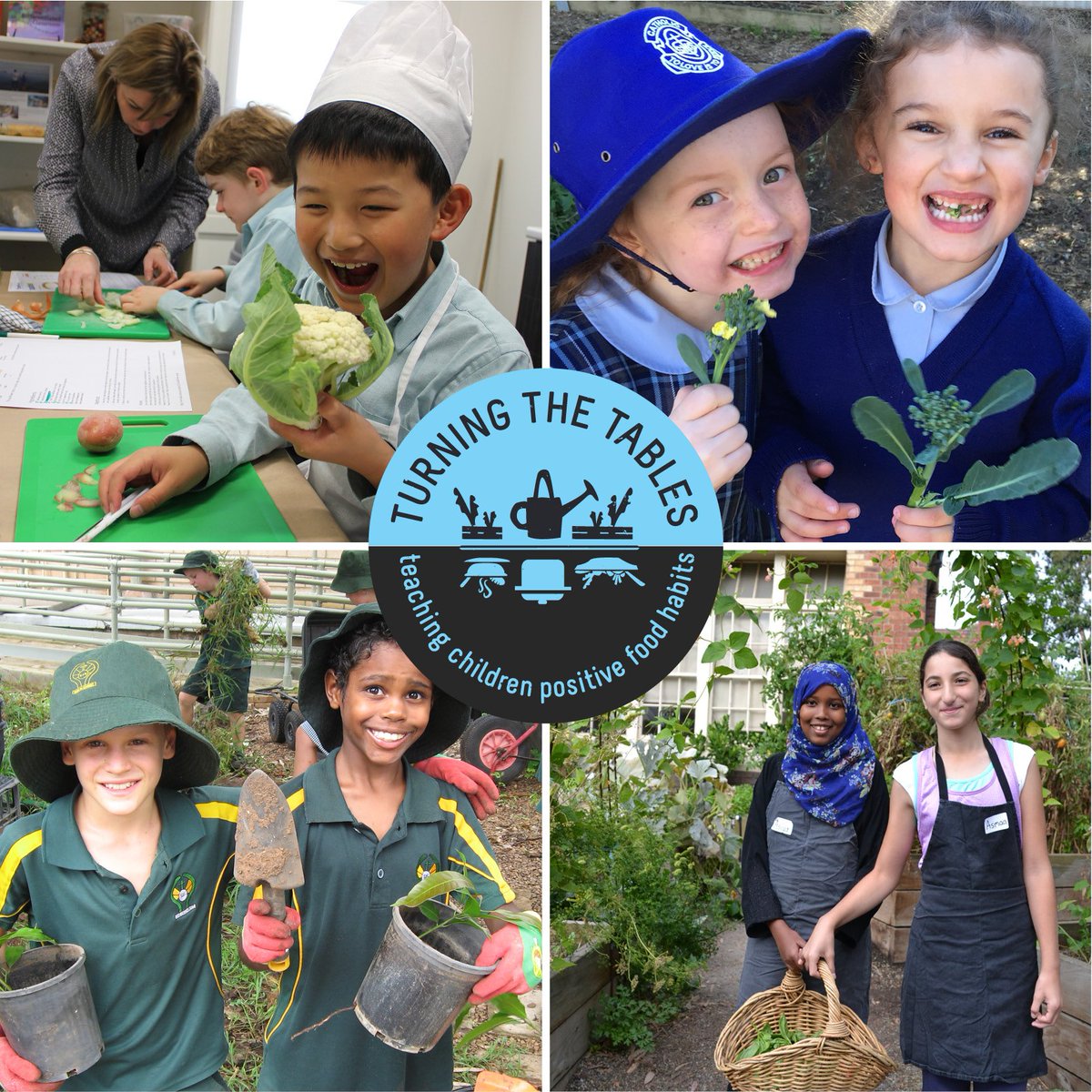 Kitchen Garden Foundation tweet media