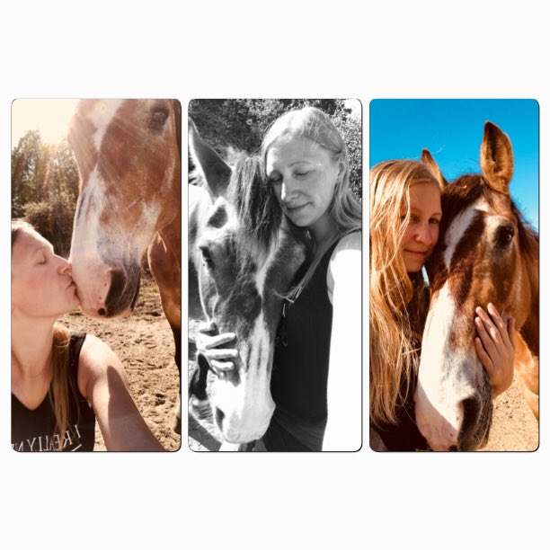 Solveig91_'s tweet photo. Happy 24th birthday to my best friend, my beautiful horse❤️ so thankful for you. I love you, always and forever! https://t.co/TBN0w0GYo6