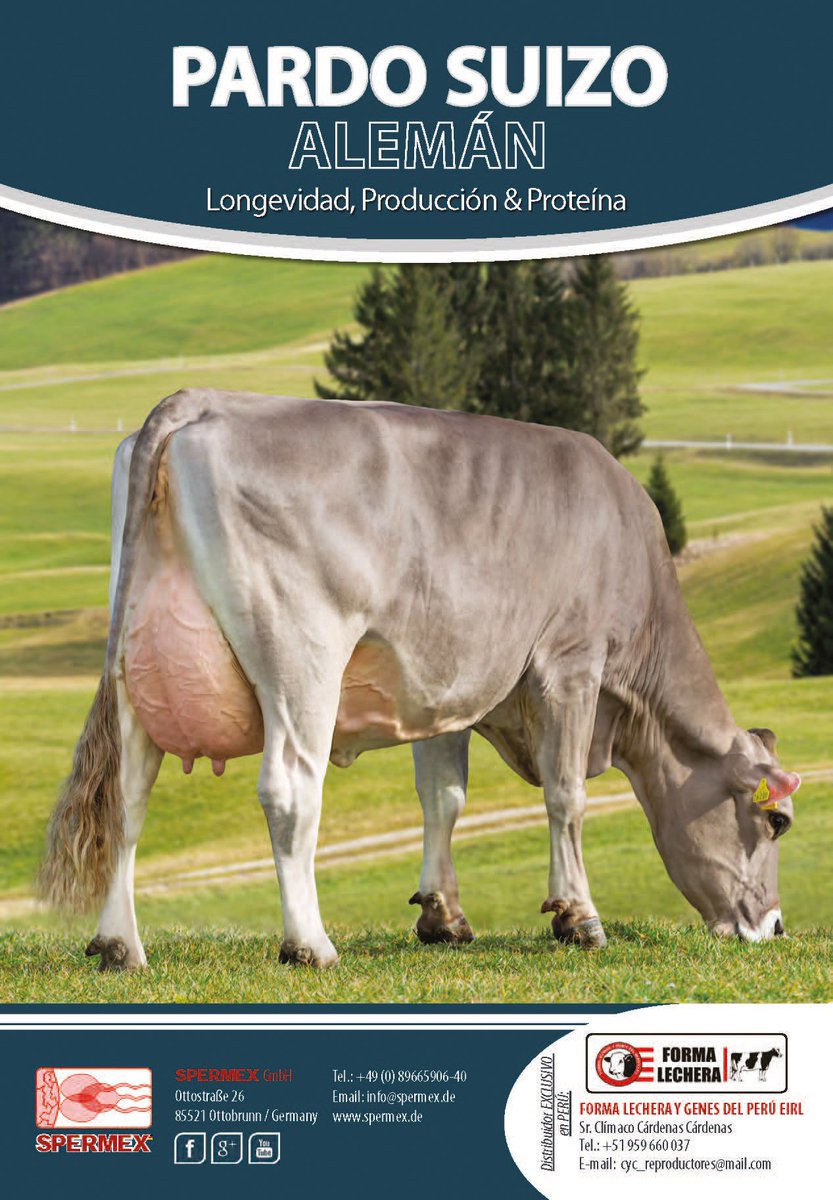 Longevidad, Producción &amp; Proteína - ¡Aprovéchese del enorme potenciál de la genética Pardo Suizo alemana!  Genética Pardo Suizo superior de SPERMEX / Alemania -> Catalogo: bit.ly/2J7mWMm <--  #braunvieh #brownswiss #spermex #formalechera